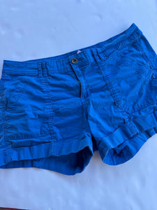 Blue Ana Shorts, 12