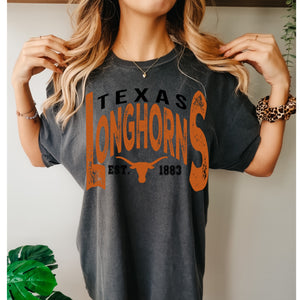 Longhorns Vintage Design